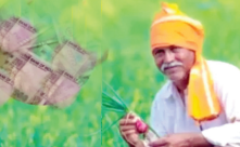 राजस्थान: ग्रामीण बीमा याेजना में 128 कराेड़ का घाेटाला